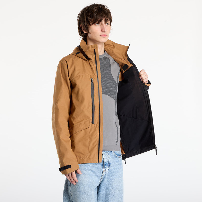 Tilak Loke 24 Cinnamon