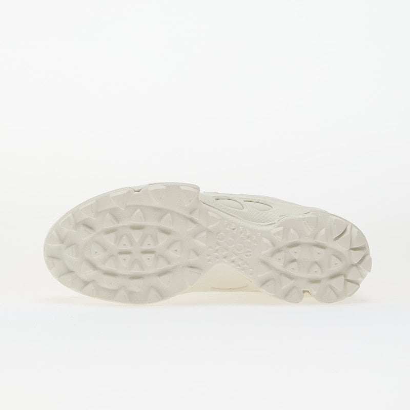 ECCO Biom C-Trail M White