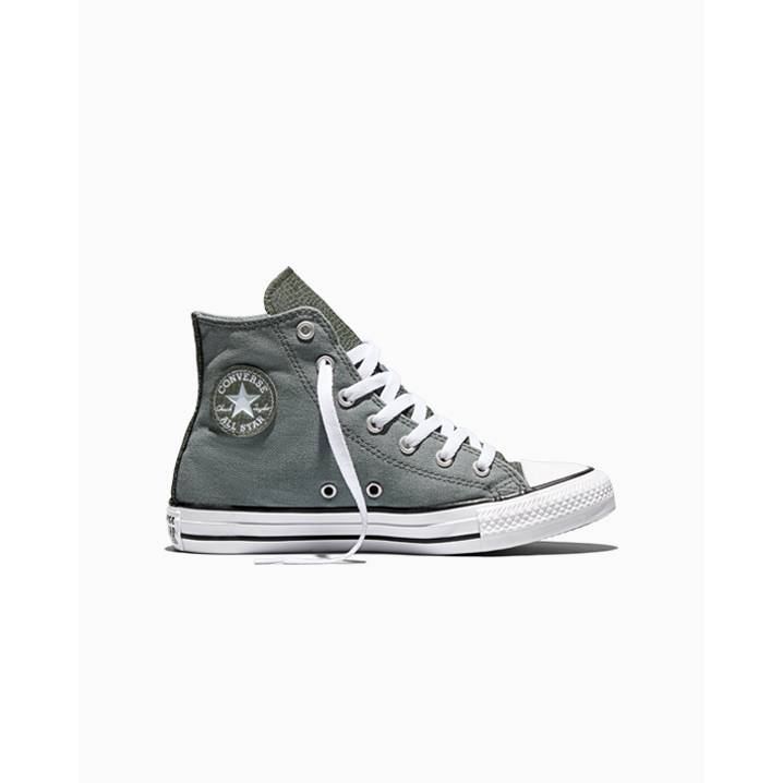 Converse Chuck Taylor All Star Dinos