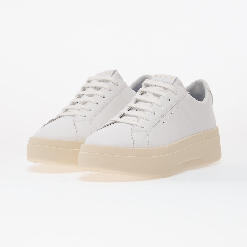 Geox Gxcp-03 White
