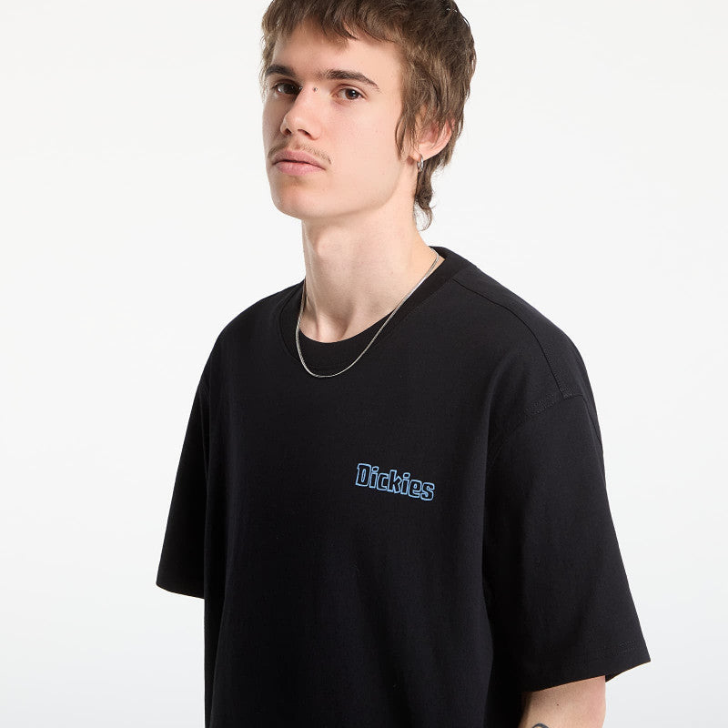 Dickies Fairlawn Ss Tee Black