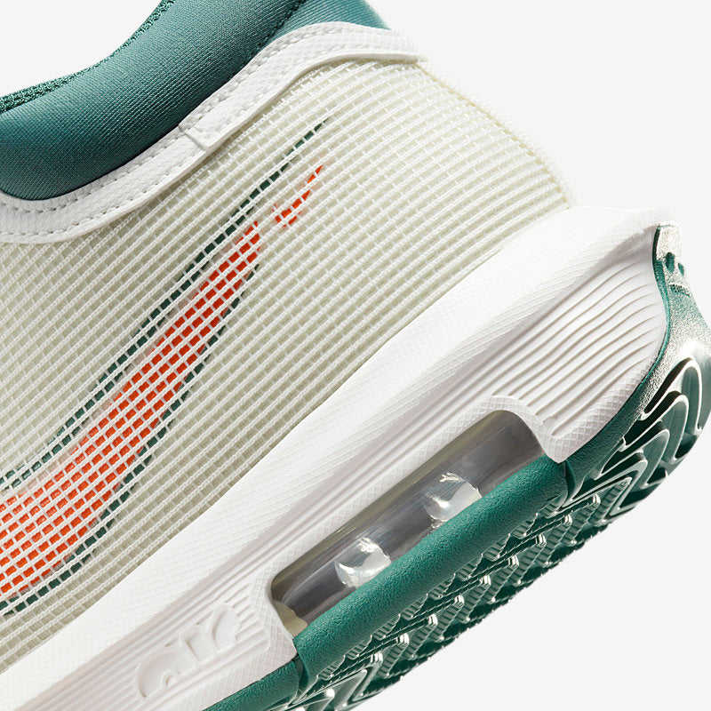 Nike Lebron Witness VIII