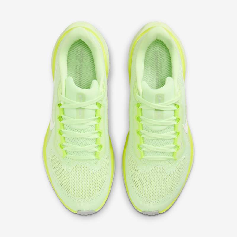 Nike Wmns Pegasus 41