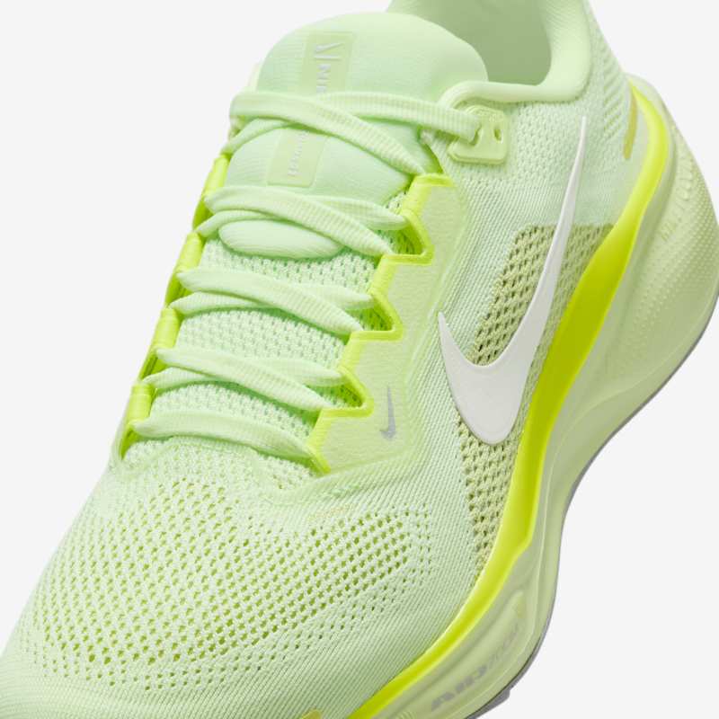 Nike Wmns Pegasus 41