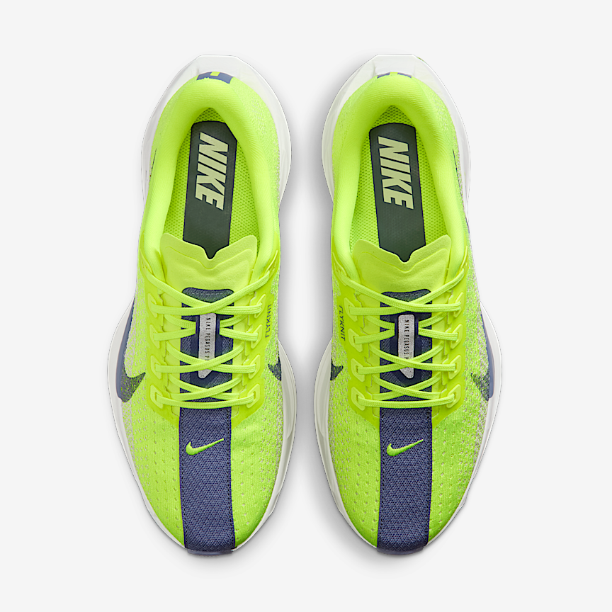 Nike Wmns Pegasus Plus