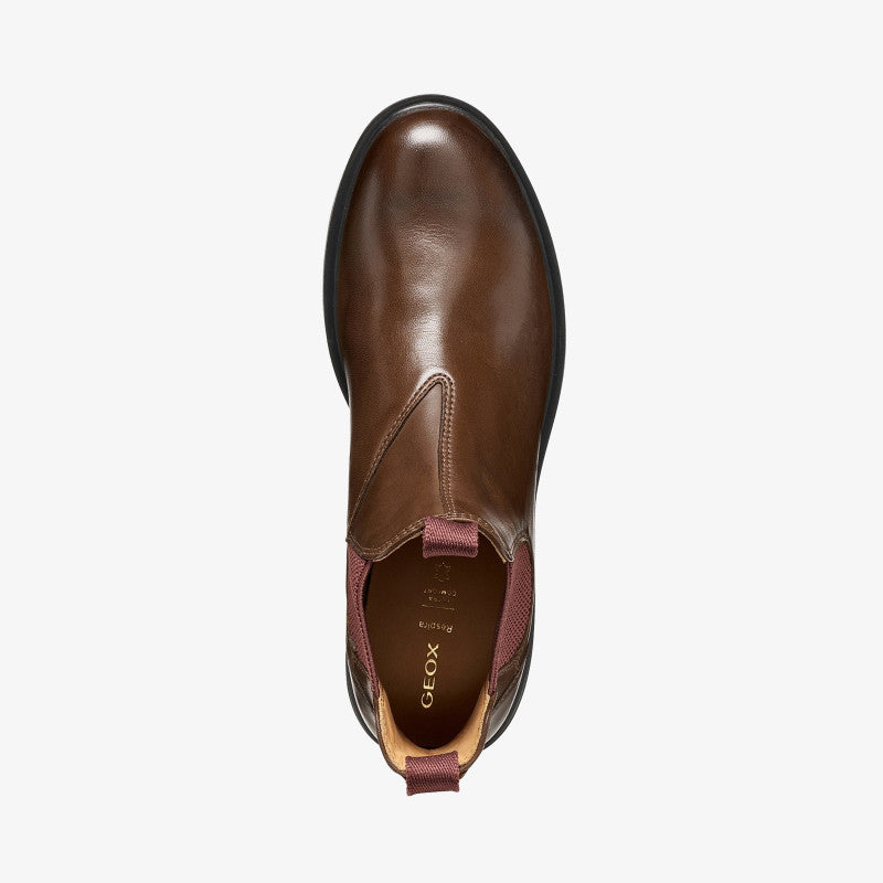 Geox Spherica Ec1 Dark Brown
