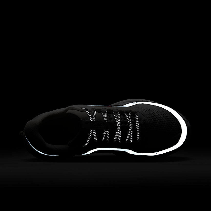 Nike Wmns Pegasus Premium