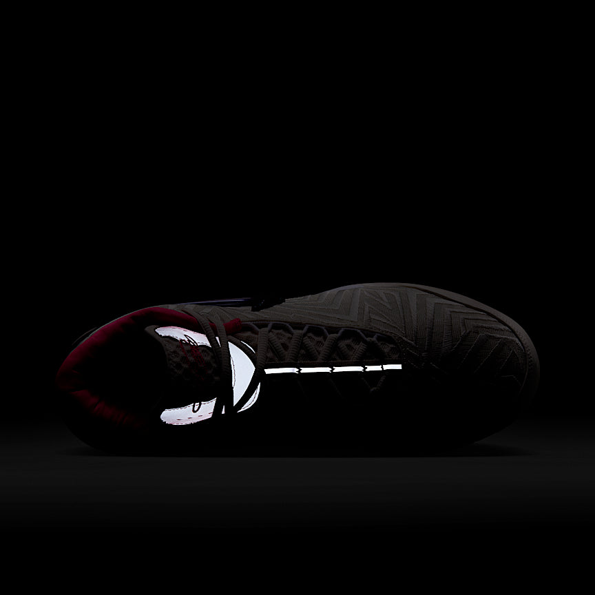 Nike LeBron NXXT Genisus QS