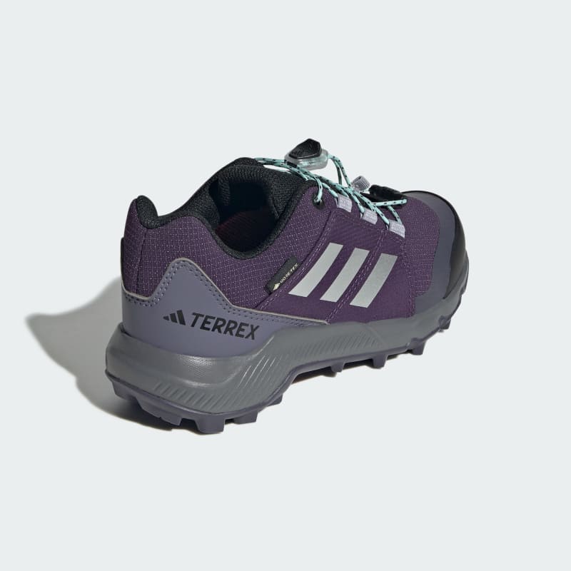 adidas Terrex GORE-TEX Hiking