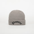 PLEASURES Arch Beanie Grey