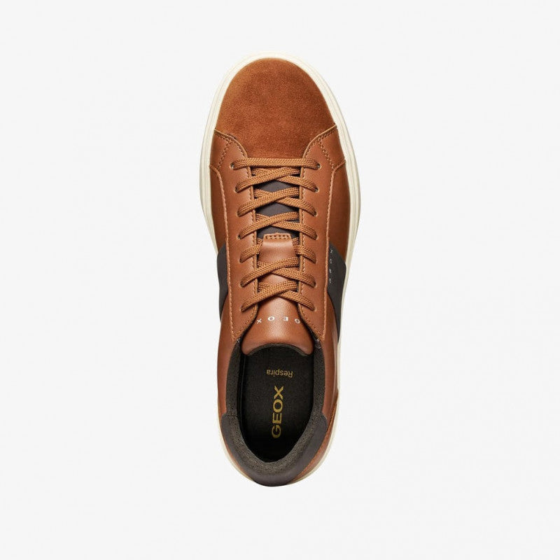Geox Baltmoore Brown